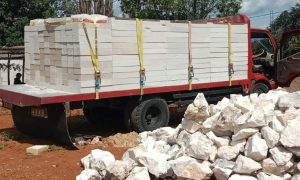 WhatsApp Image 2024-11-22 at 3.39.31 PM